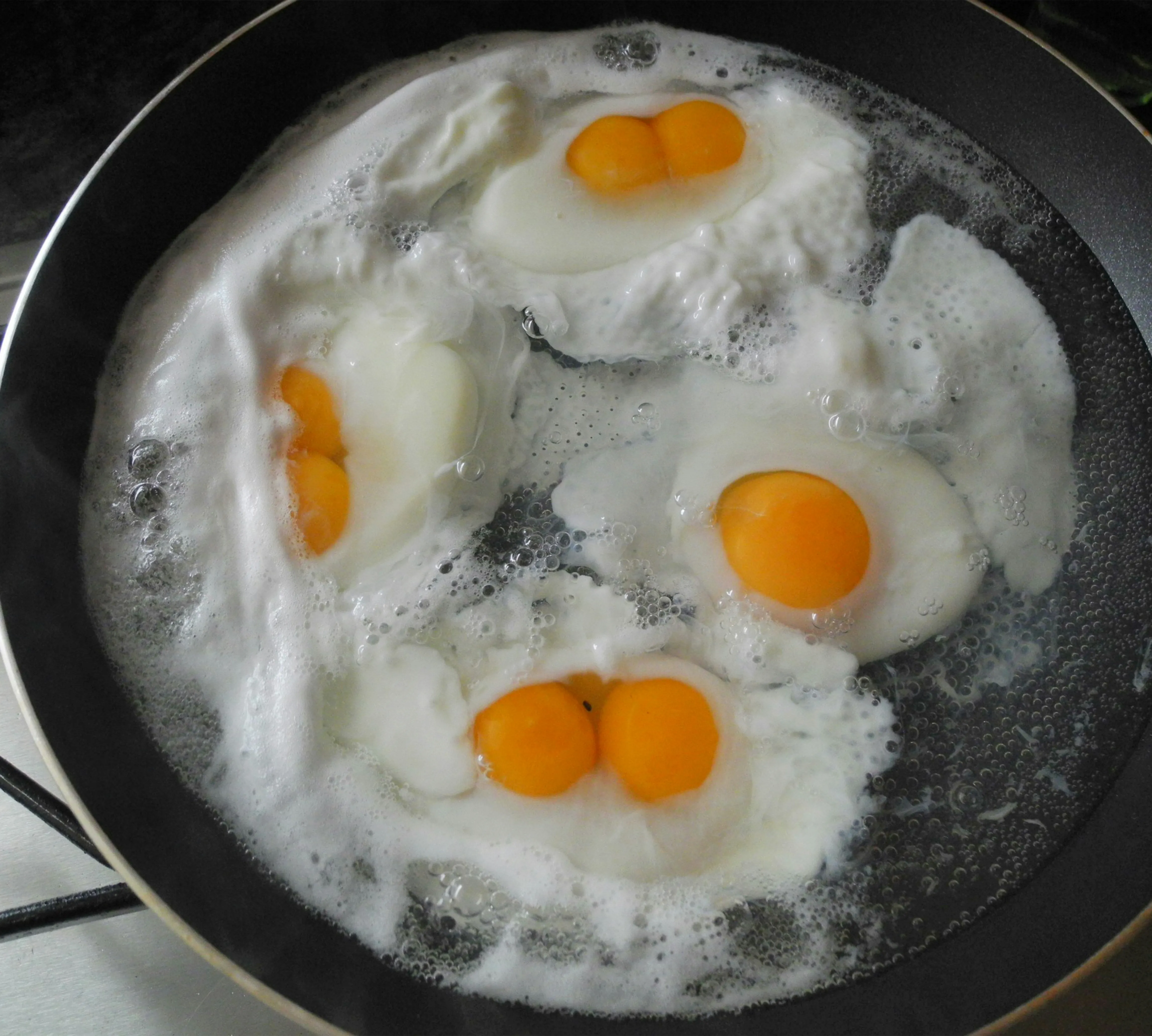 Nidho Gastronomía
